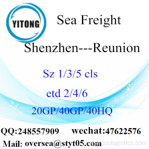 Shenzhen Haven Zee Vracht Verzending Naar Reunion